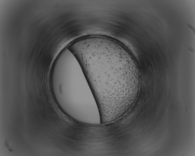 X0000096660887200802050954