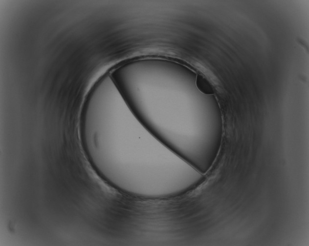 X0000096660888200802050954