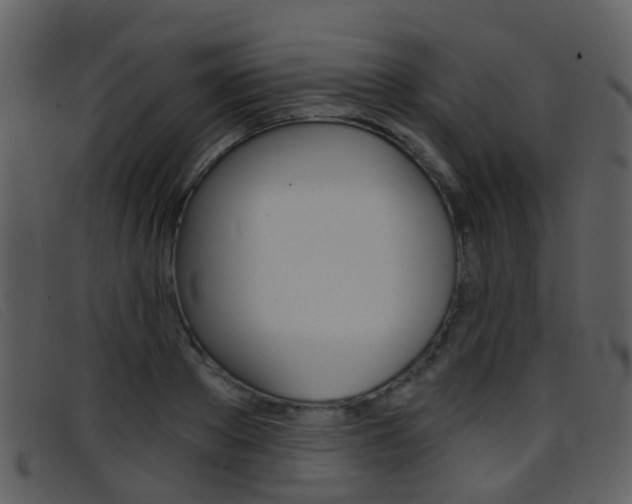 X0000096660889200802050954