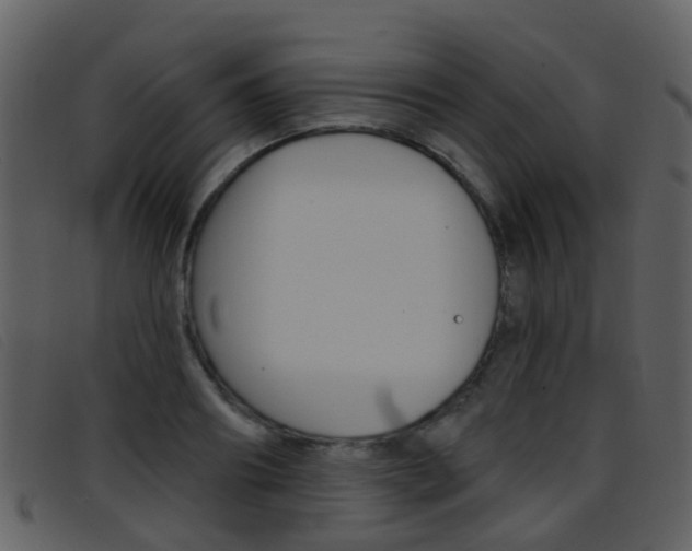 X0000096660890200802050954