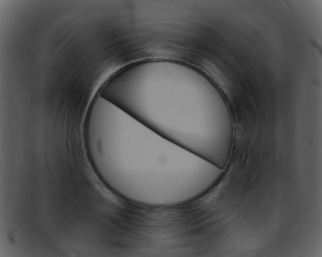 X0000096660891200802050954