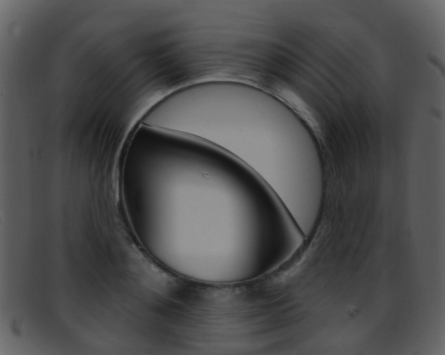 X0000096660892200802050954