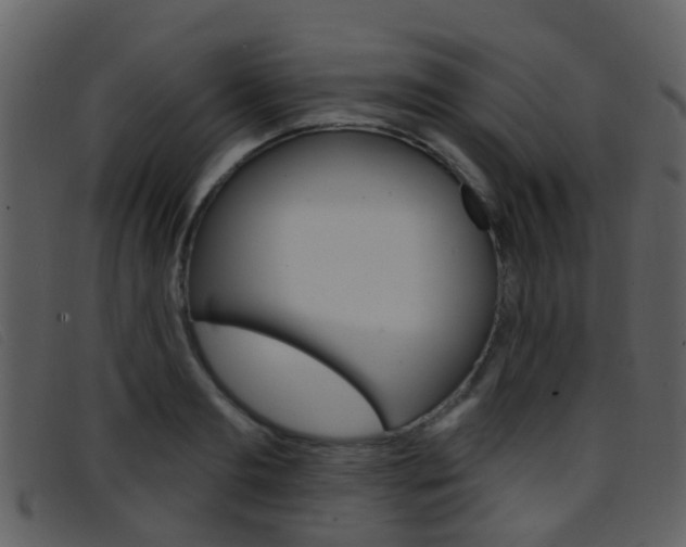 X0000096660893200802050954