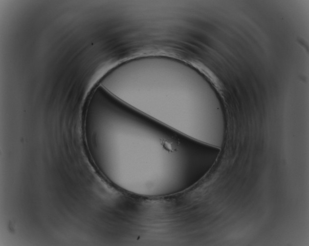 X0000096660894200802050954