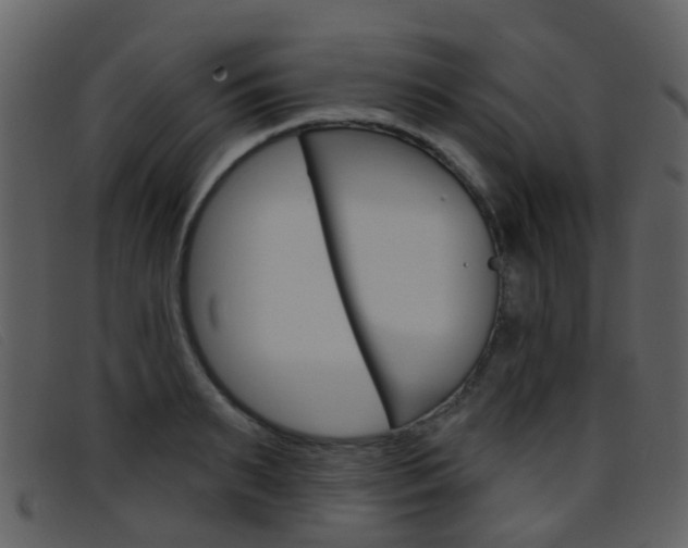 X0000096660895200802050954
