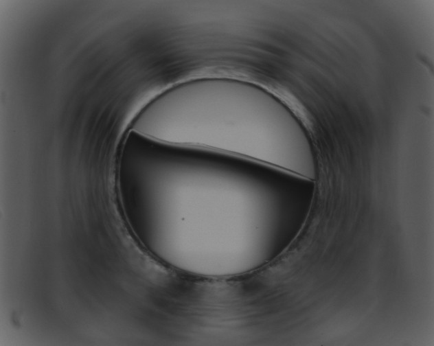 X0000096660896200802050954
