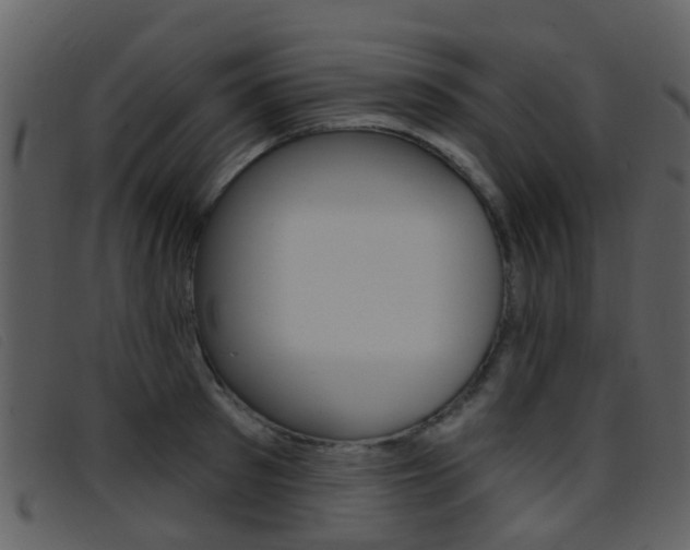 X0000096660897200802050954