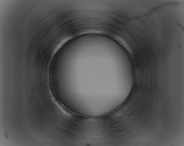 X0000096660898200802050954