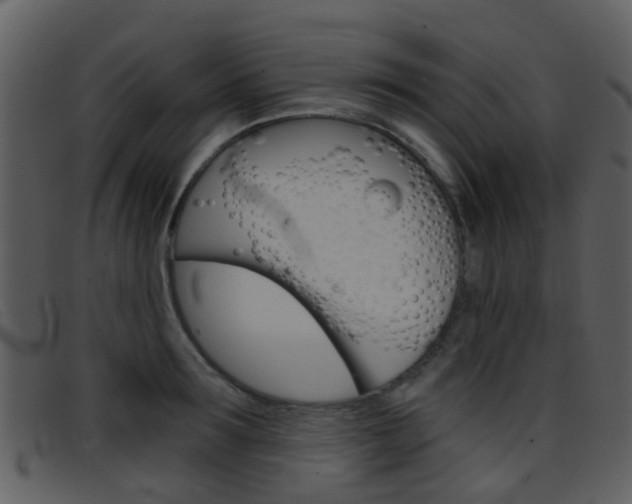 X0000096660899200802050954