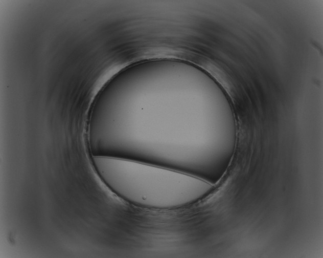 X0000096660901200802050954