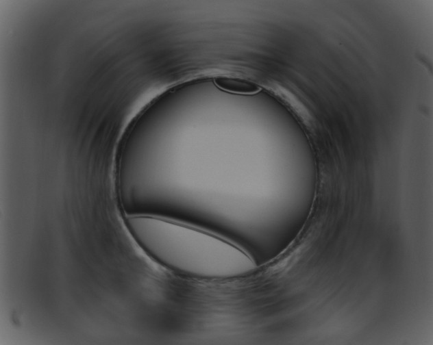 X0000096660902200802050954