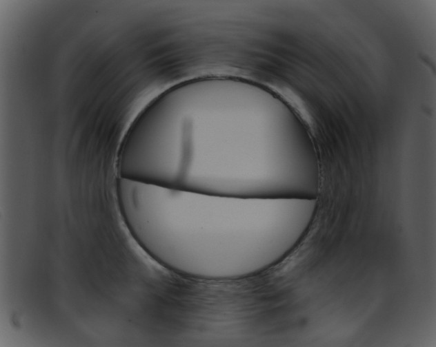 X0000096660903200802050953