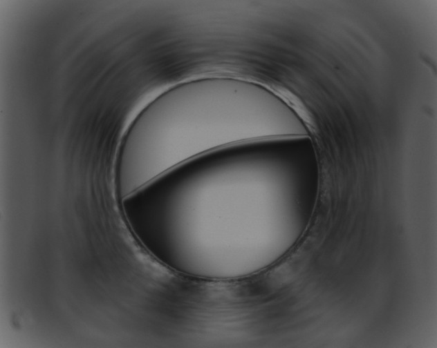 X0000096660904200802050953