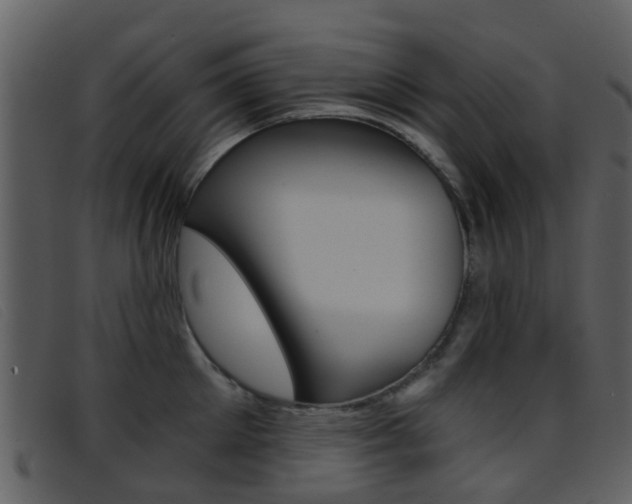 X0000096660905200802050953