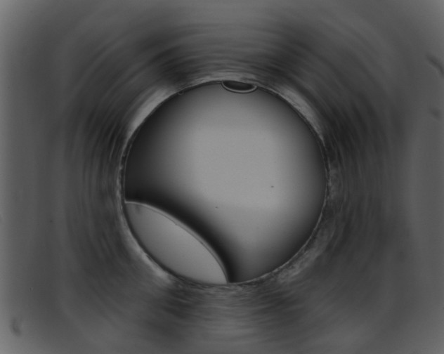 X0000096660906200802050953