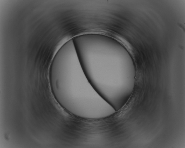 X0000096660907200802050953