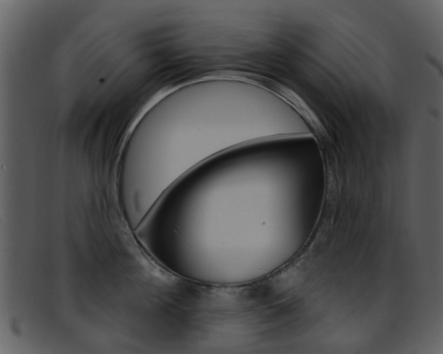 X0000096660908200802050953