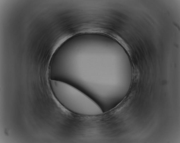 X0000096660909200802050953