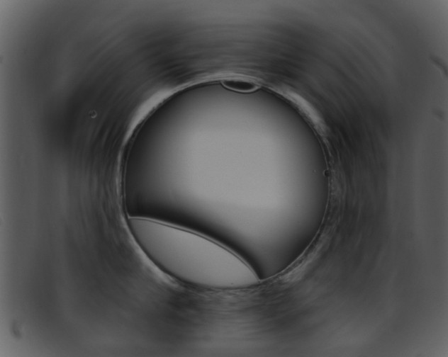X0000096660910200802050953