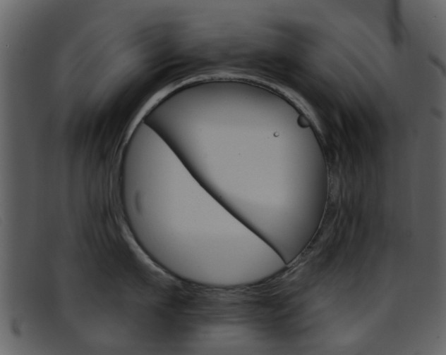 X0000096660911200802050953
