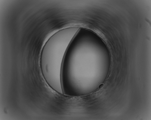 X0000096660912200802050953