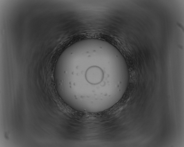 X0000096660913200802050953