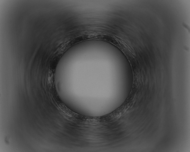 X0000096660914200802050953