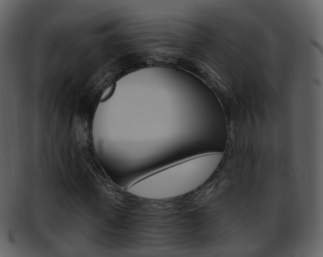 X0000096660915200802050953