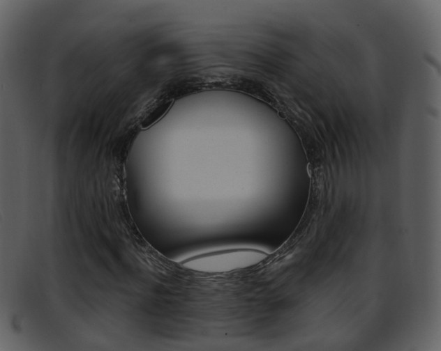X0000096660916200802050953