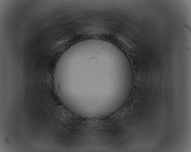 X0000096660917200802050953