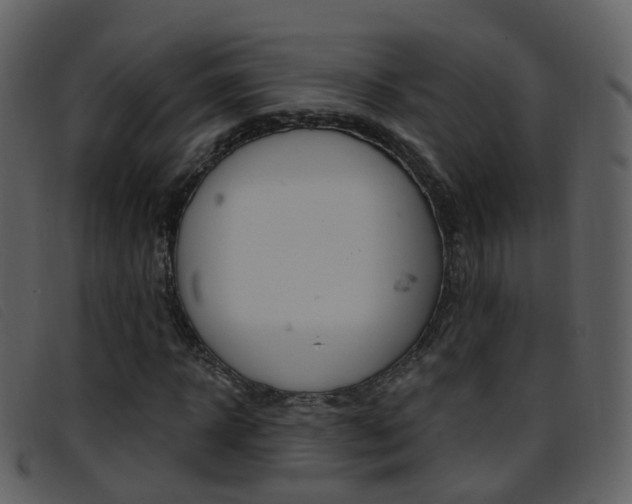 X0000096660918200802050953