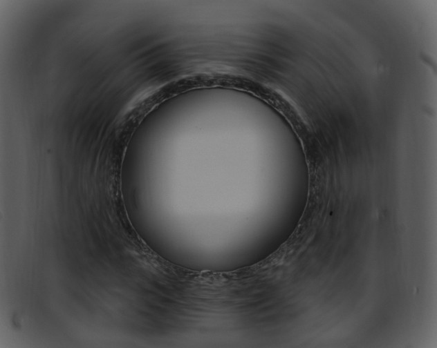 X0000096660919200802050953