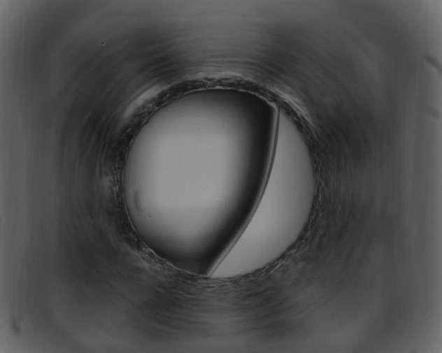 X0000096660920200802050953