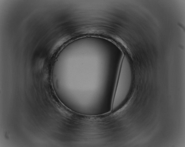 X0000096660922200802050953
