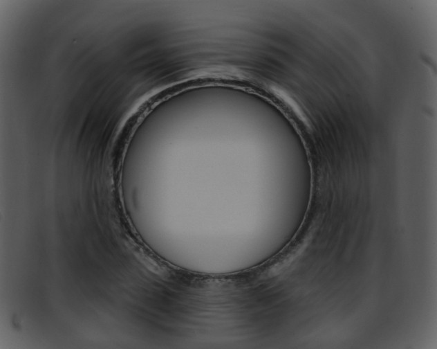 X0000096660923200802050953