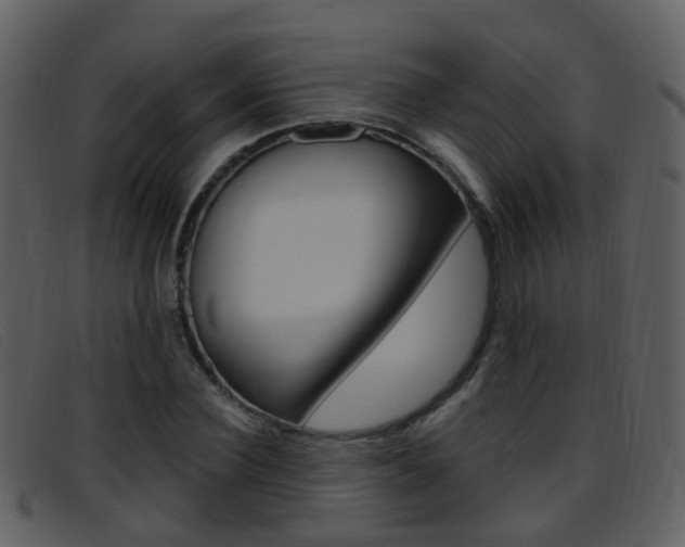 X0000096660924200802050953