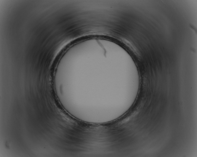 X0000096660926200802050953