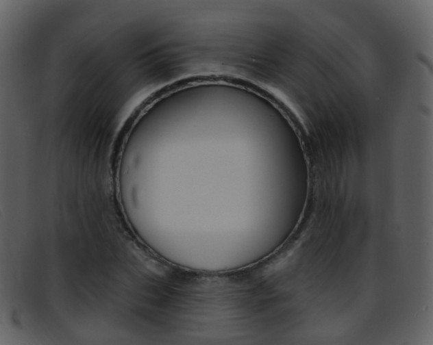 X0000096660927200802050953