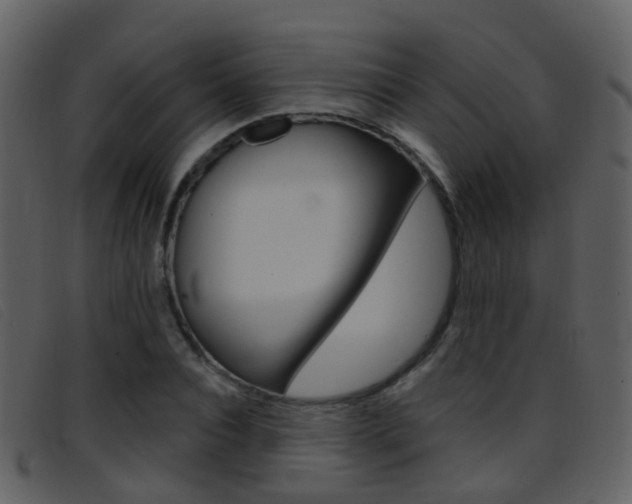 X0000096660928200802050953