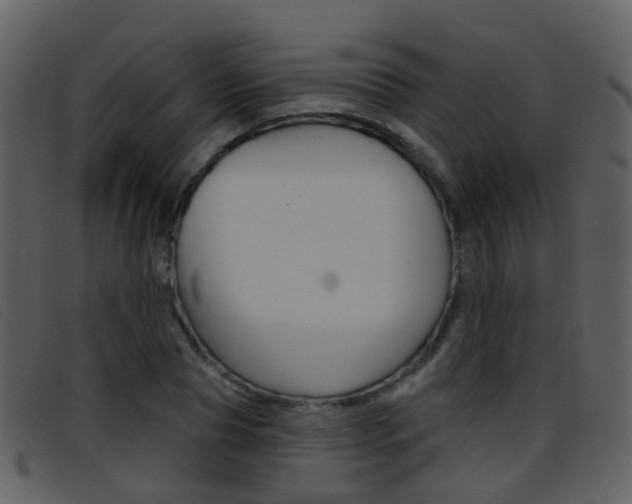 X0000096660929200802050953