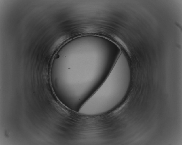 X0000096660930200802050953