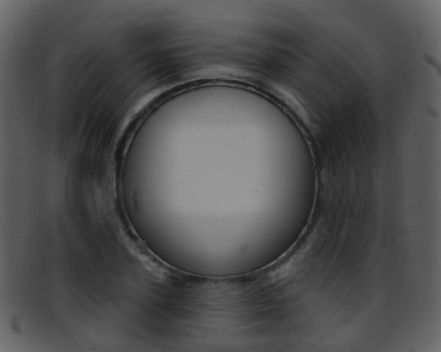 X0000096660931200802050953