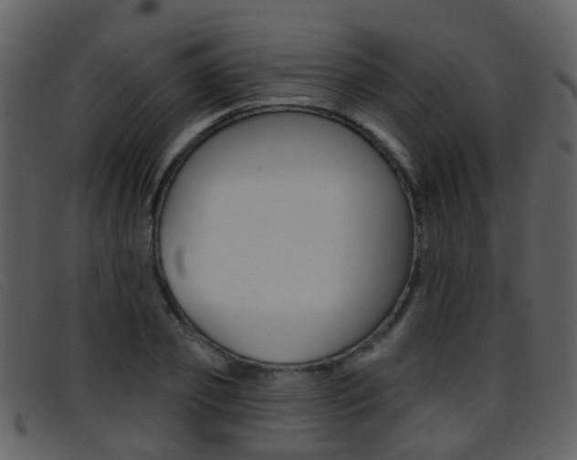 X0000096660933200802050953