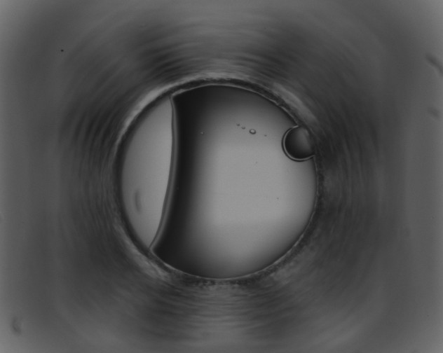 X0000096660934200802050953