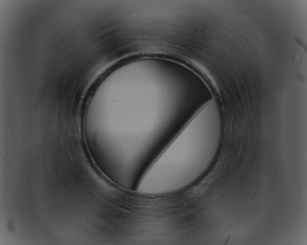 X0000096660935200802050953