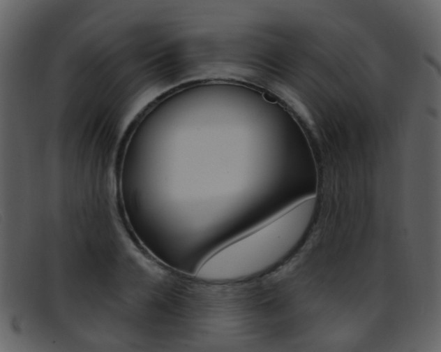 X0000096660936200802050953