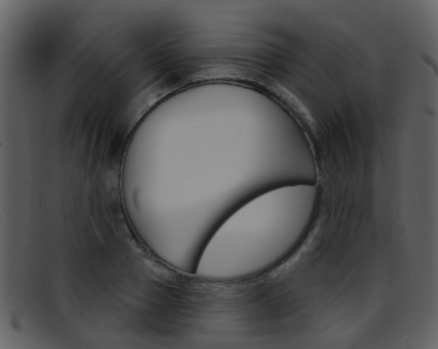 X0000096660937200802050953
