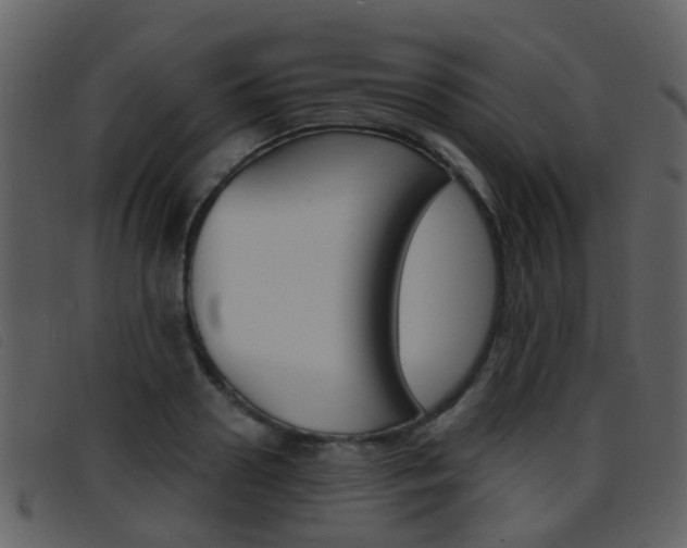 X0000096660938200802050953