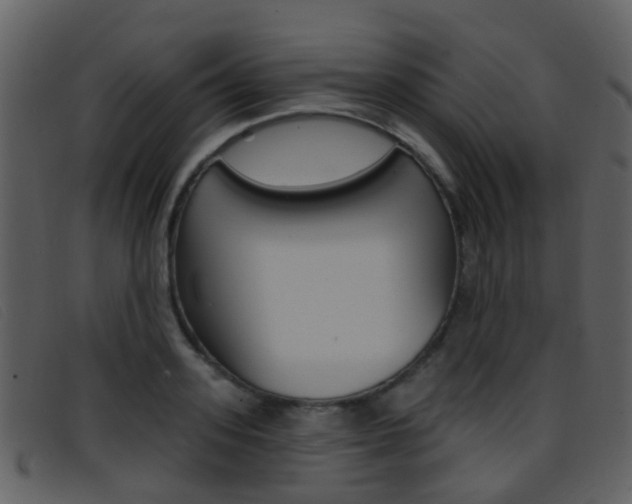 X0000096660939200802050953