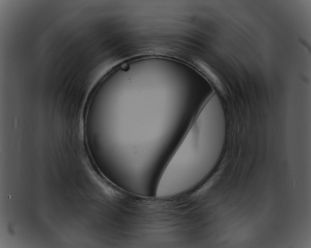 X0000096660940200802050953